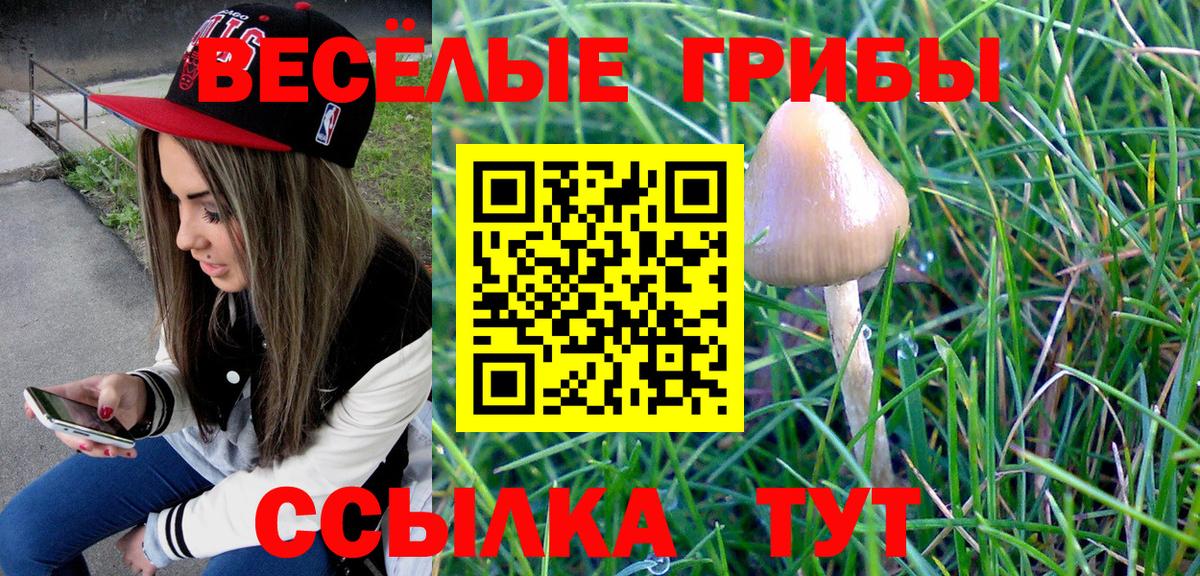 Саяногорск  Галлюциногенные грибы Psilocybe  Вход с VPN 